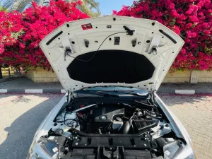 2017 بي أم دابليو اكس - 3 sDrive30i