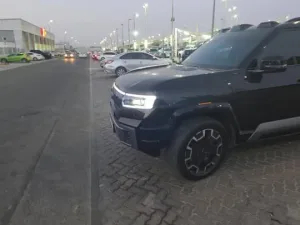 2025 بي واي دي ليوبارد 8