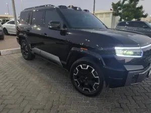 2025 بي واي دي ليوبارد 8