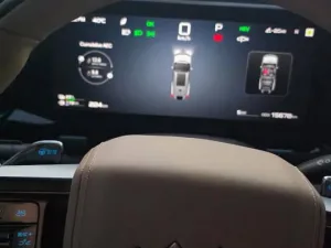 2025 بي واي دي ليوبارد 8