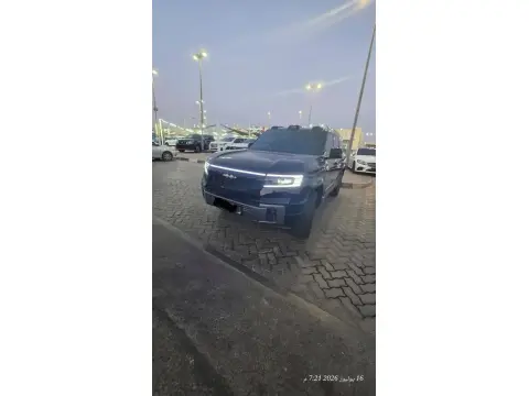 2025 بي واي دي ليوبارد 8