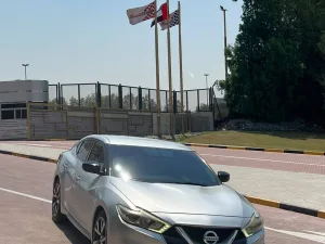 2016