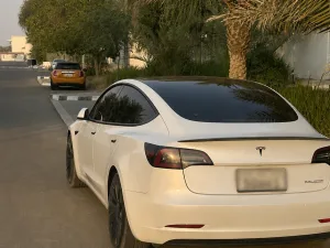 2021 تسلا موديل 3 Performance