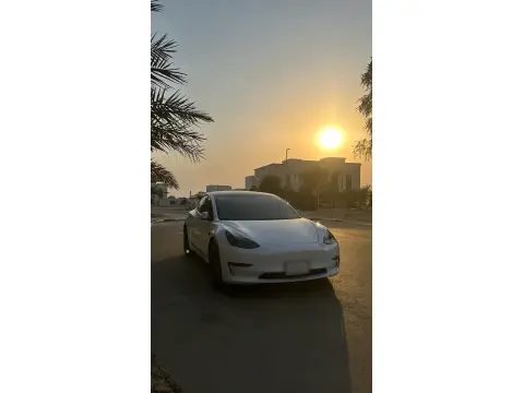 2021 تسلا موديل 3 Performance