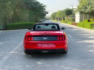 2023 فورد موستانج EcoBoost