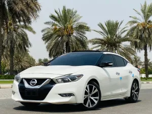 2016