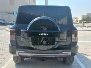2025 بي واي دي ليوبارد 8