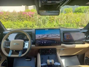 2025 بي واي دي ليوبارد 8