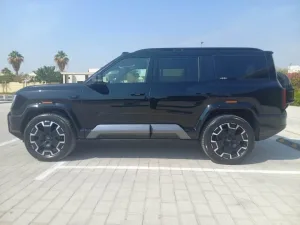 2025 بي واي دي ليوبارد 8