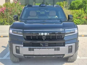 2025 بي واي دي ليوبارد 8