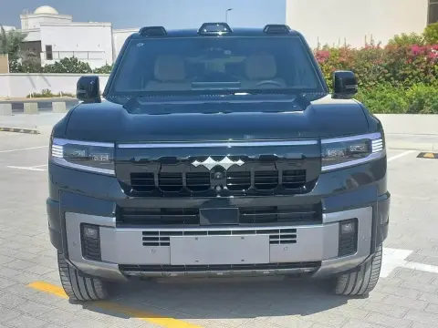 2025 بي واي دي ليوبارد 8