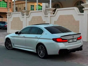 2019 بي أم دابليو الفئة - 5 530e