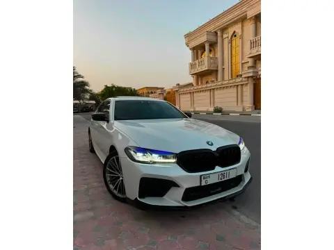 2019 بي أم دابليو الفئة - 5 530e