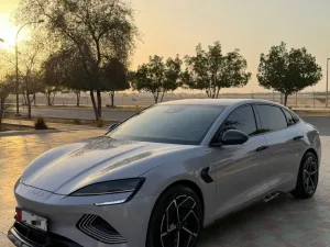 2025 بي واي دي سيل