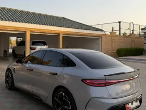 2025 بي واي دي سيل