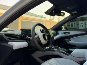 2025 بي واي دي سيل