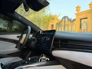 2025 بي واي دي سيل