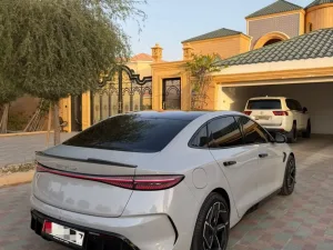2025 بي واي دي سيل