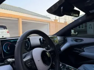 2025 بي واي دي سيل