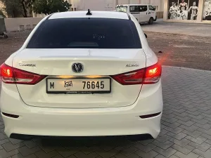 2024 تشانجن السفن No Trim