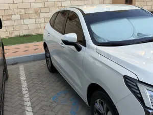 2024 هافال جوليان No Trim