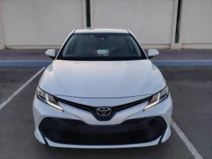 2019