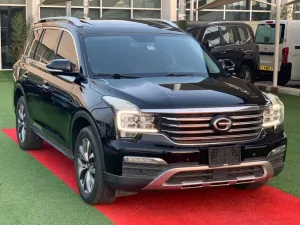 2019 GAC GS8