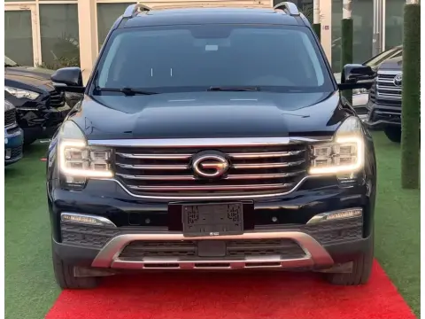 2019 GAC GS8