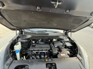 2019 Kia Cerato EX